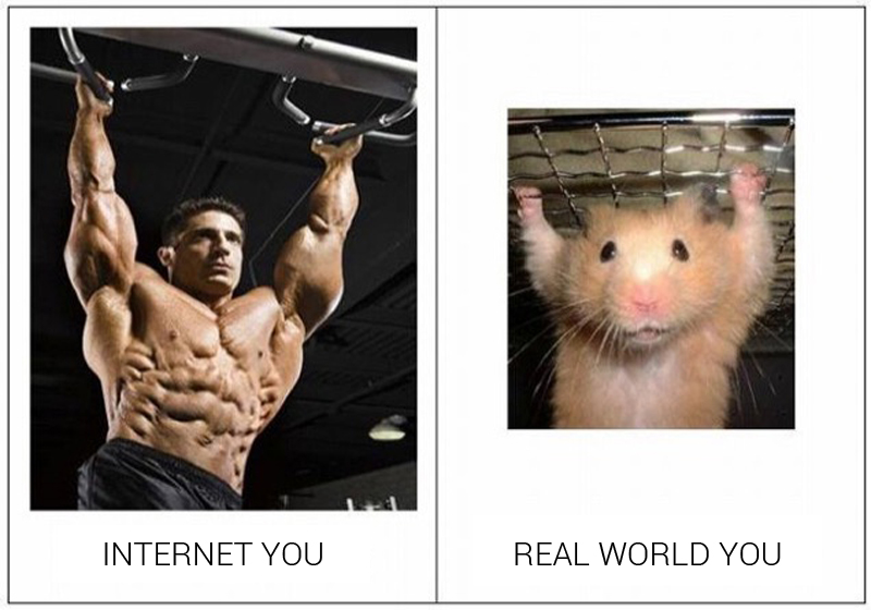 Illustration for article titled Japan's "Internet You Vs. the Real You" Meme